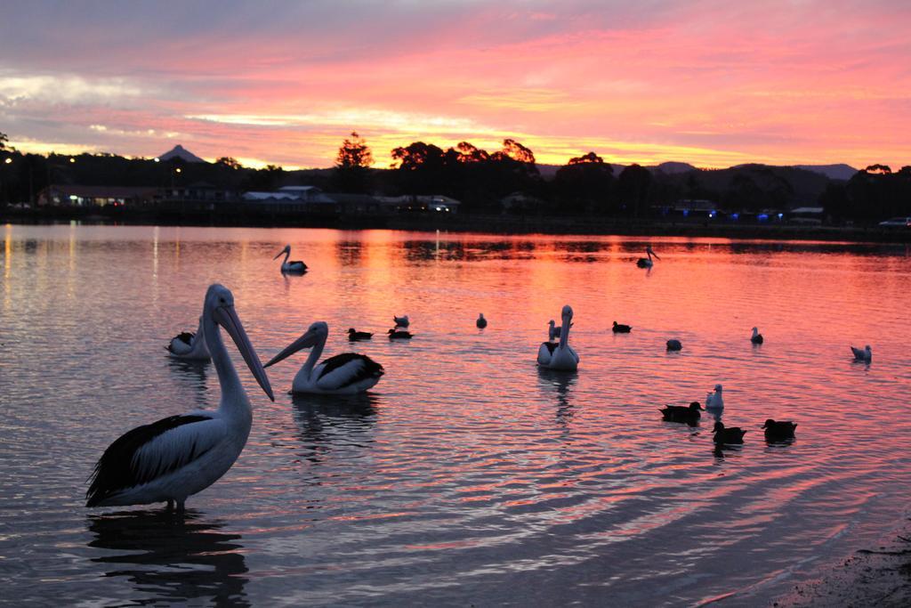 Holiday Haven Burrill Lake מראה חיצוני תמונה